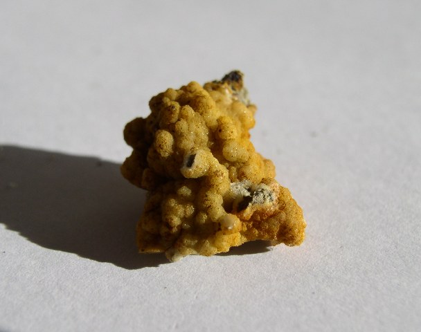 Vapenec 15x15mm.JPG
